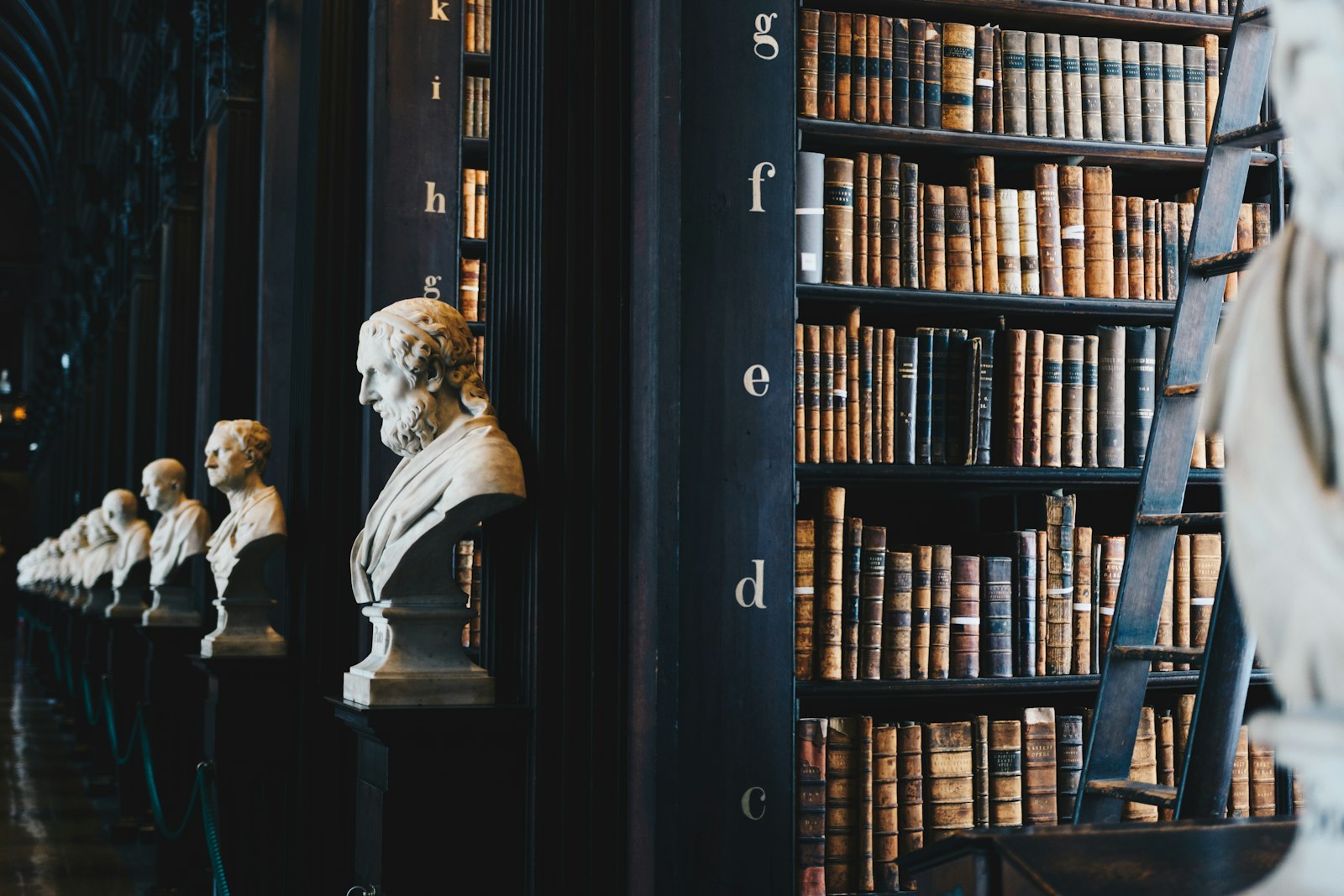 Biblioteca jurídica con bustos clásicos